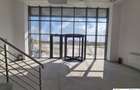 Hale moderne de inchiriat in Villar Logistics Park Bucharest West - 4