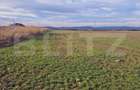 Teren intravilan, 8700mp,Prejmer - 1