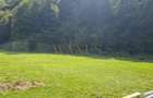 Teren intravilan, cf, zona Valea Ierii - 3