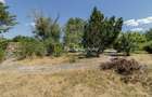 Domeniu privat 5.000 mp, cu reședință de 625 mp și piscină, Corbeanca - 41