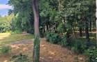 Apartament 1 camera-Gradina privata-Parcul Copou - 5