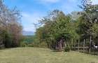 Teren zona montana in com.Turcinesti Jud.Gorj - 8