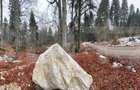 Teren unic, exclusivist  4000 mp, in inima muntilor, Sinaia - 5
