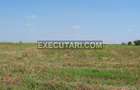 Teren extravilan -  60.000 m² - Sat Chirculesti - 4