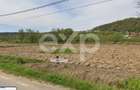Teren intravilan 21.000 mp de vânzare – Suseni, Comuna Bogați, Județul Argeș - 12