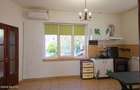 Lunei - Ion Neculce, 2 Apartamente. Mansarda 157 mp. Anexe, Lot 475 mp - 21