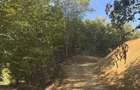 Teren , platou drept,  6000mp ,  Sucevita - 2