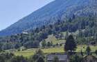 Teren intravilan, 21.000 mp, Zona Intre Barse, spre Plaiul Foii, Zarnesti