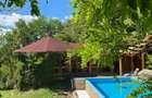 Domeniu exclusivist 17.000 mp | Vilă luxury cu piscină & SPA – Cărbunari - 5