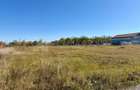 Teren intravilan, PUZ aprobat, 800 mp, Fish4Life - Harman, Brasov - 4
