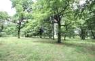 Teren de vanzare 4713 mp investitie | Poiana Brasov - 3