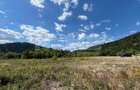 TEREN INTRAVILAN 2,26 HA | SUCEVITA | - 1