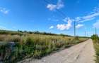 Teren pentru Hală 1000 mp zona Metro lângă Zeelandia, 20,30 m deschidere, Aproape E85, Ideal Investiție Industrială - 4