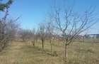 TEREN IN NOUA - INTRAVILAN CONSTRUCTIE- 900 mp  - COMISION 0% pentru cumparator - 5