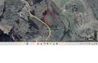 Teren agricol 4.2 ha Nades-Mures 2 euro mp - 1