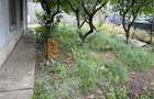 Casa tip parter zona Verguleasa - 1