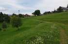 Teren Drumul Carului 3.8 ha