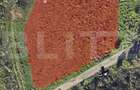 Investitie ! Teren intravilan in Sopor, 2500 mp , front 36 m ! - 2