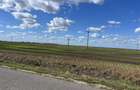 RECO Teren intravilan 1200mp -Livada de Bihor - 8