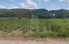 Teren 5832 mp-ideal lac, investitie, cabana, gradina-Slatinita - 3