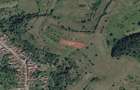 Portofoliu funciar de peste 10 hectare | Izbuc - Carpinet | Jud. Bihor - 3