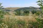 Vand teren extravilan in Stolna suprafata 2550 mp, front 37 utilitati in zona - 3