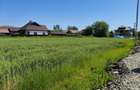 Teren 10.294 mp de vânzare Târgu Jiu | Intravilan + Extravilan | Utilități - 5