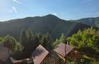 Cabana de vanzare, 200 utili, 600 teren, locatie de Vis -Muntele Rece - 3