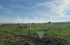 Teren extravilan agricol de vanzare in Iris, Cluj Napoca - 7