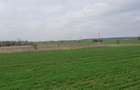 Tâncăbești -Ilfov suprafață 4500 mp - 3