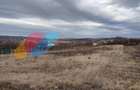 Teren intavilan construibil 4000mp în Tureni - 2