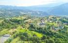 Teren intravilan Bran - Sohodol - 7