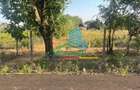 Teren 1500 mp pentru Casă | Petrești, Zonă de Case - 3