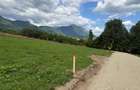Teren intravilan  1000 mp zona Bran-Tohanita,langa padurela 10 km de Rasnov - 12