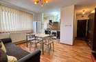 Apartament 2 camere de vanzare in zona Soarelui, Timisoara - 2