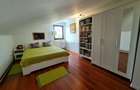 Vila + Afacere 15.000mp Clinceni - 18