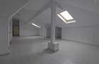 Imobil Central 355 mp | D+P+1+M | Consolidat & Renovant | 9 Camere - 19