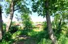 Teren Snagov - Ciofliceni cu deschidere la lac | Ponton si garaj barca - 6