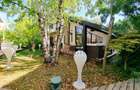 Iancu Nicolae | Vanzare vila 3-4 dormitoare | Gradina privata & Jacuzzi & Garaj - 3