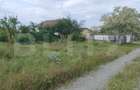 Teren intravilan 2500mp, Malu Mare! - 3
