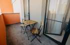 Apartament cu 2 camere/ Pet friendly/ zona Aradului - 12