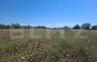 Teren de vanzare, 3000 mp, zona Dumbrava - 3