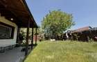 VEZI VIDEO! Vila cu 4 camere, 2 bai | P+M | Domnesti - Teghes - 2