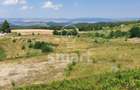 Teren deosebit la intrare in Salicea, 65 euro/mp - 4
