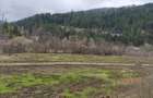 Teren intravilan, 22600mp, zona Manastirea Sucevita - 5