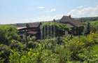 Casă săsească autentică în Bruiu (Sibiu) - 21