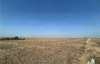 Simnicu de sus_langa Craiova/ Teren extravilan, arabil/ Suprafata de 4200mp - 1