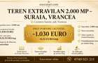 Teren - 2.000 mp, Valea Nucarilor - 1