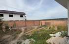 Casă individuală pe un singur nivel – Șelimbăr - 5