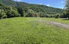Teren 1,340mp Cuejdiu / Strada Cuejdiului - 2